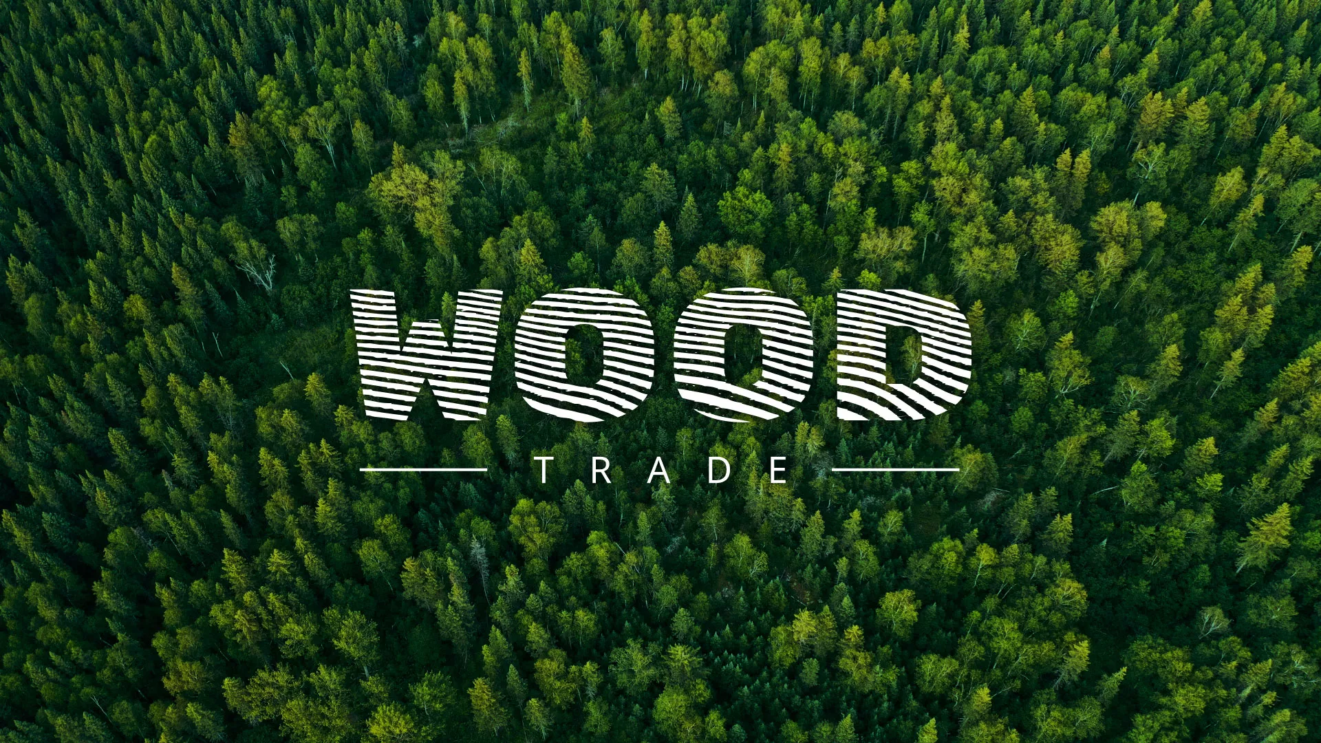 Разработка интернет-магазина компании «Wood Trade» в Симферополе